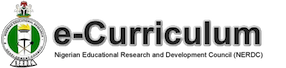 Nigerian E-Curricullum